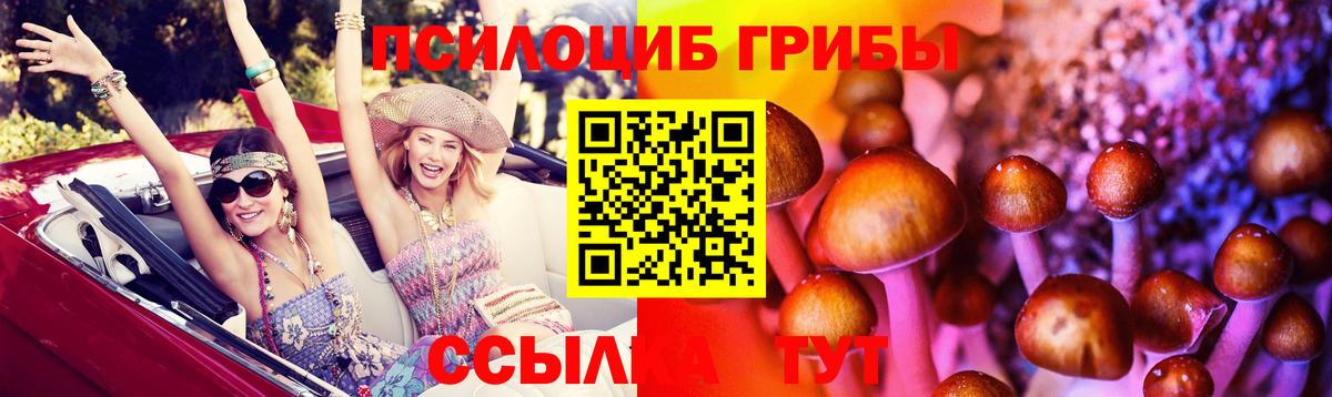 Псилоцибиновые грибы Psilocybe  Вход с VPN  Алушта 